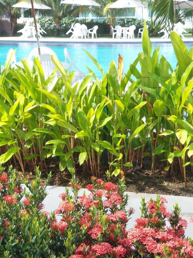 Palm Village Acqua - Apartamento Premium - Em Frente A Piscina - Pôrto das Galinhas Kültér fotó